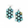 The Sparkling Spur Sleeping Beauty Turquoise Cluster Earrings Jewelry