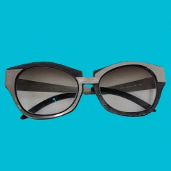 The Sparkling Spur Luce Pagni Glasses Frames