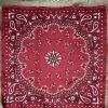 A Rare Bird Hats/Headbands/Scarves/Gloves Fancy Red Bandanna